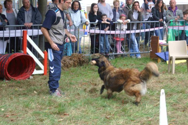 foire-haricots 2011-09-17et18